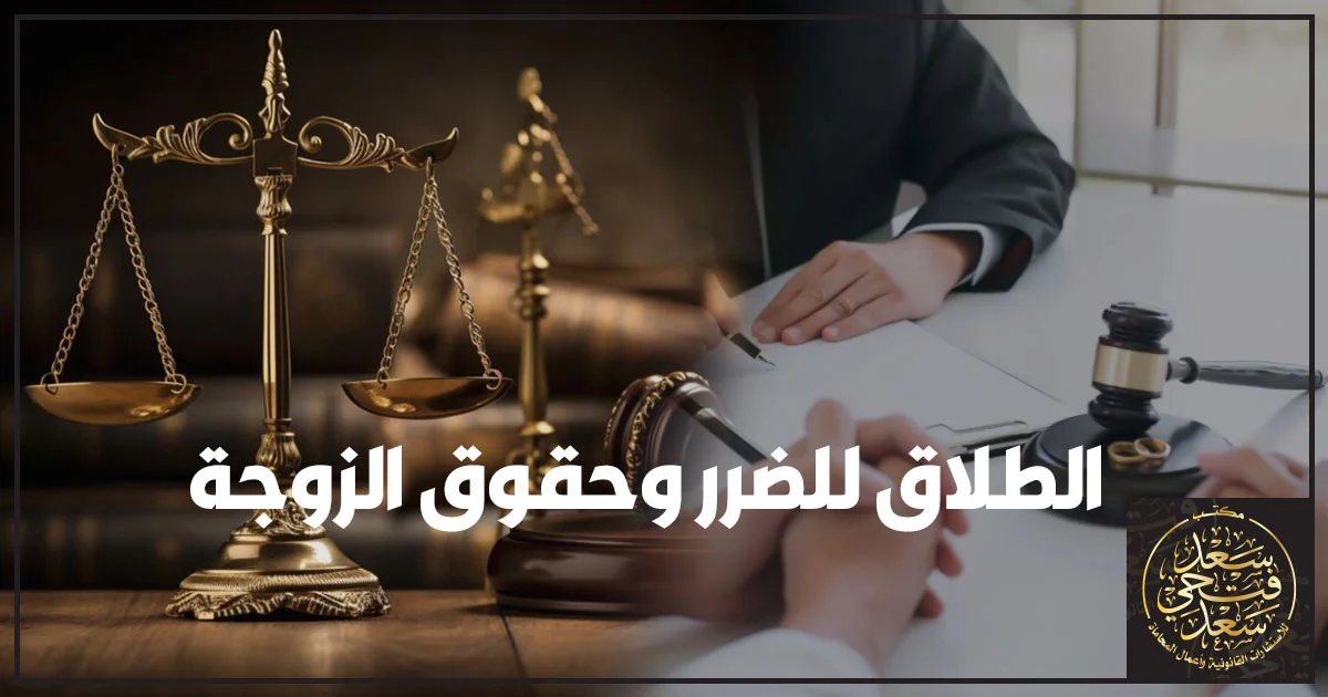 الطلاق للضرر وحقوق الزوجة في مصر خطوات رفع الدعوى وإثبات الضرر أمام محكمة الأسرة