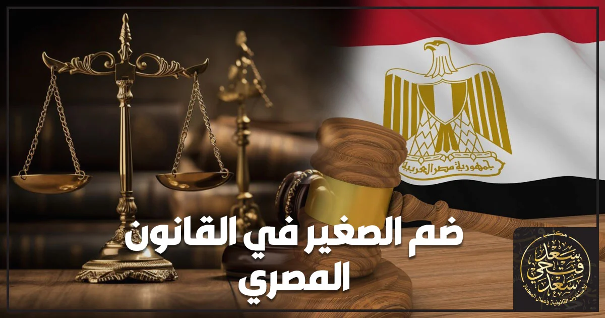 ضم الصغير في القانون المصري أمام محكمة الأسرة وشروط نقل الحضانة لمصلحة الطفل.