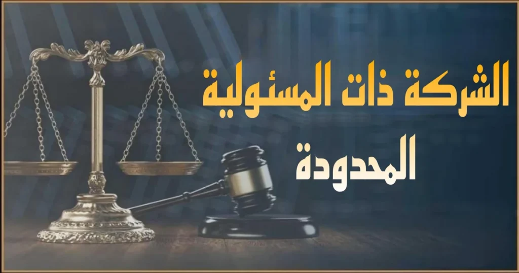 تأسيس الشركة ذات المسئولية المحدودة في مصر خطوة بخطوة مع الشروط ورأس المال وإجراءات هيئة الاستثمار والمستندات المطلوبة وتسجيل السجل التجاري