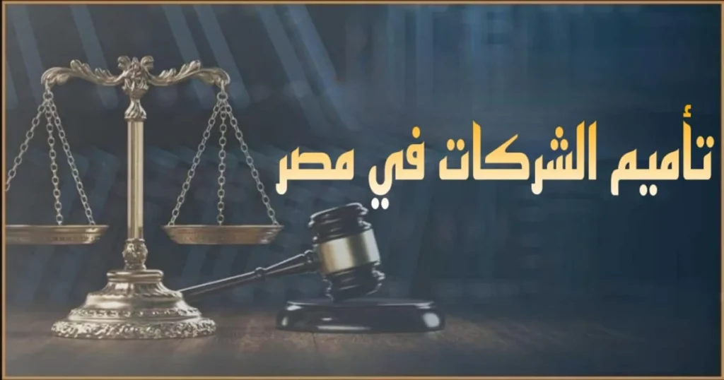 تأميم الشركات في مصر شرح قانوني لمفهوم التأميم وإجراءاته وأثره على الملكية وحقوق المساهمين والتعويض والطعن أمام الجهات المختصة