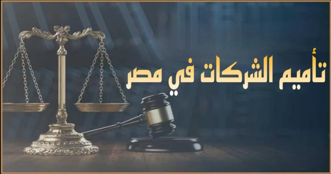 تأميم الشركات في مصر شرح قانوني لمفهوم التأميم وإجراءاته وأثره على الملكية وحقوق المساهمين والتعويض والطعن أمام الجهات المختصة