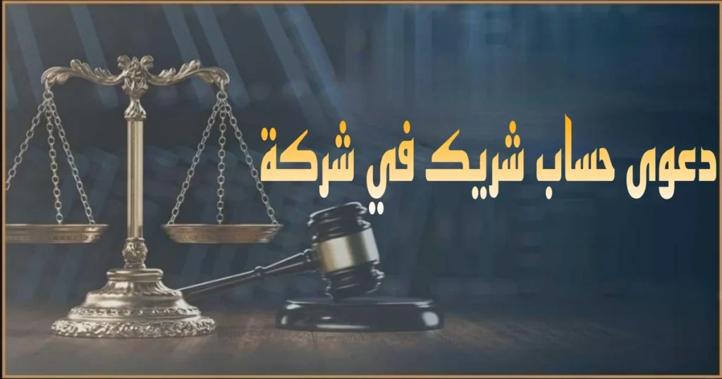 دعوى حساب شريك في شركة في مصر الإجراءات والمستندات وأهم الأخطاء التي تضيع الحقوق