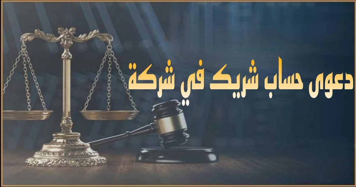 دعوى حساب شريك في شركة في مصر الإجراءات والمستندات وأهم الأخطاء التي تضيع الحقوق