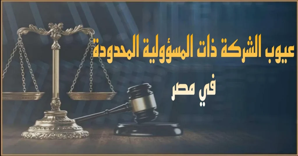 صورة بارزة بعنوان عيوب الشركة ذات المسؤولية المحدودة في مصر