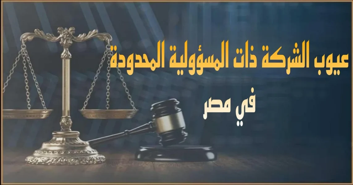 صورة بارزة بعنوان عيوب الشركة ذات المسؤولية المحدودة في مصر