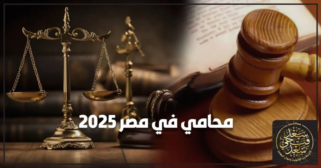 أسرع محامي في مصر يراجع ملف الدعوى لتسريع الإجراءات القانونية وتجنب التأجيلات وفق القانون المصري