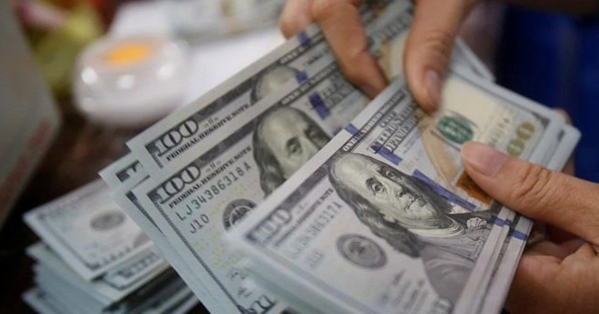 حزمة دولارات مع مستندات وتحويلات رسمية ترمز لملفات جرائم النقد الأجنبي في مصر وإثبات مصدر العملة ومسارها قبل التحقيق.