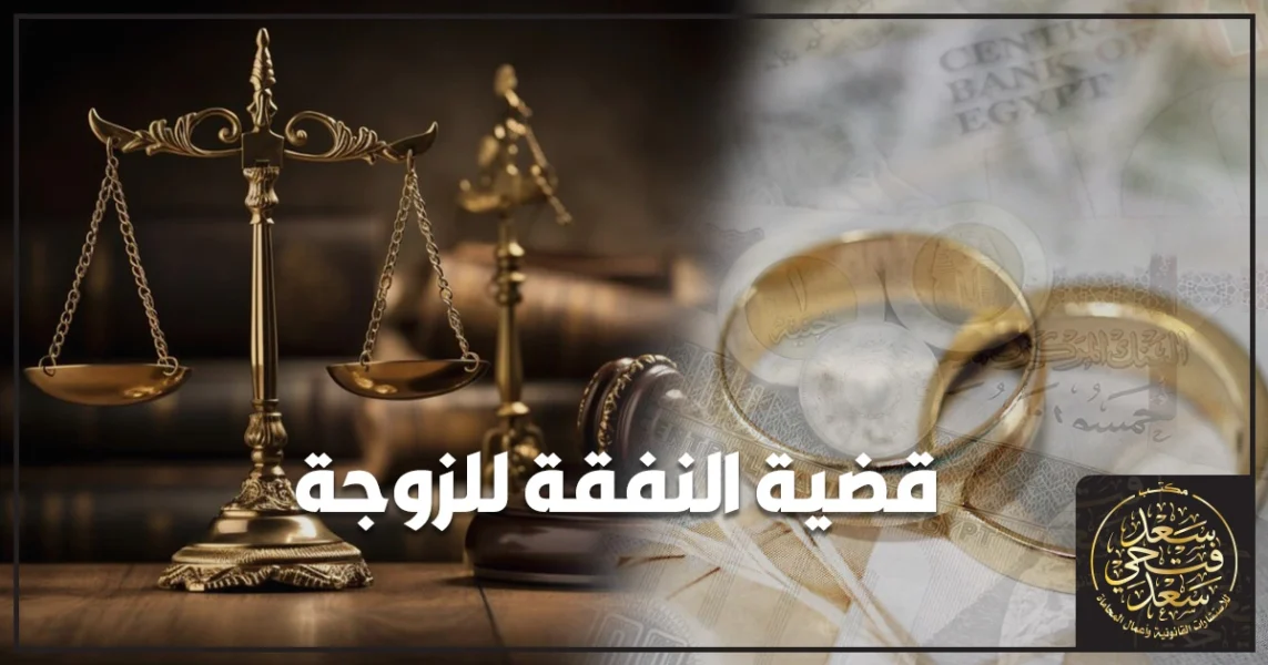 قضية النفقة للزوجة في مصر خطوات رفع الدعوى وإثبات دخل الزوج وتنفيذ الحكم أمام محكمة الأسرة