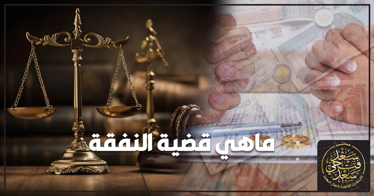 ماهي قضية النفقة في مصر الشروط والإجراءات القانونية وخطوات رفع الدعوى والتحريات والتنفيذ