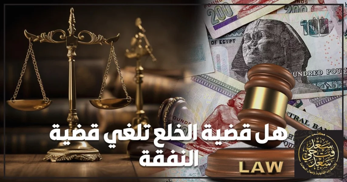 هل قضية الخلع تلغي قضية النفقة شرح الفرق بين نفقة الزوجة ونفقة الصغار وما الذي يسقط بعد حكم الخلع في مصر