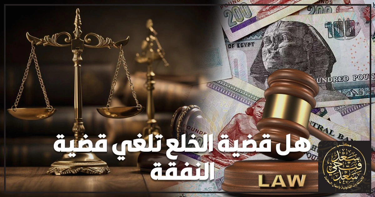 هل قضية الخلع تلغي قضية النفقة شرح الفرق بين نفقة الزوجة ونفقة الصغار وما الذي يسقط بعد حكم الخلع في مصر