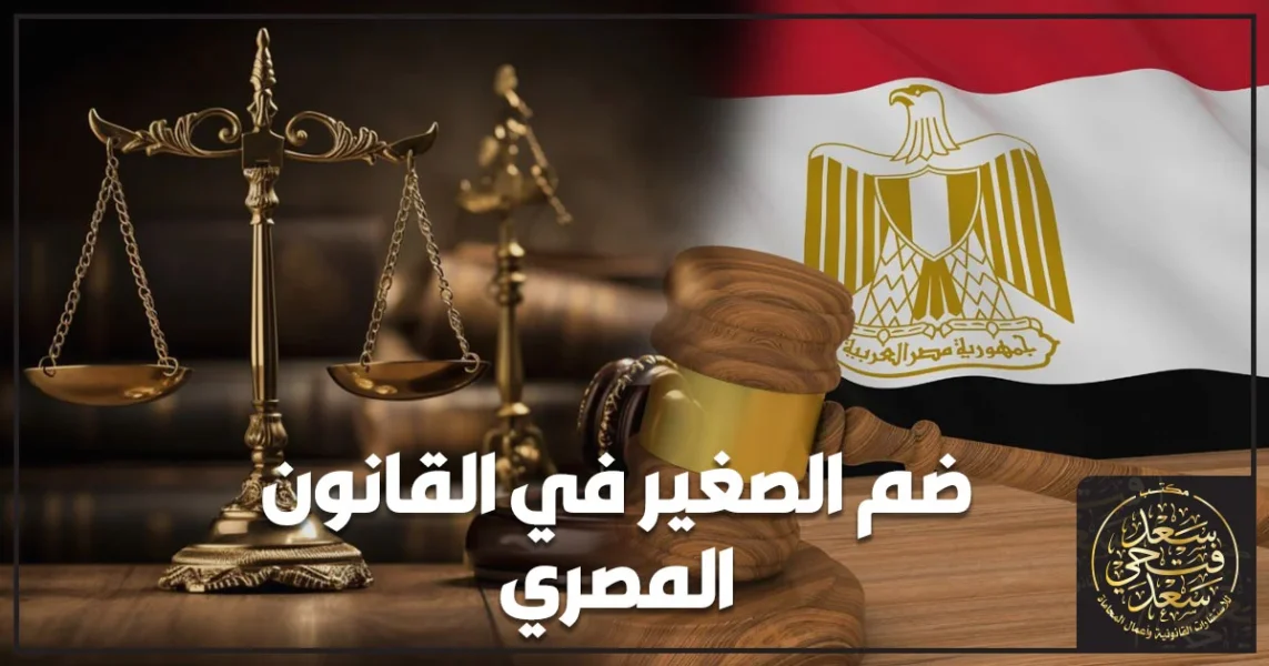 ضم الصغير في القانون المصري أمام محكمة الأسرة وشروط نقل الحضانة لمصلحة الطفل.